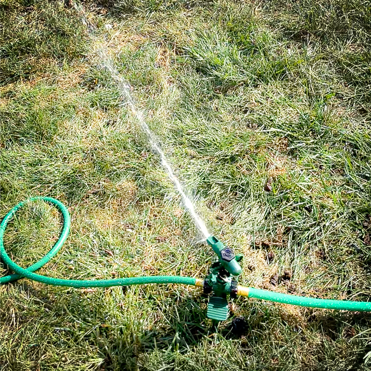 How to set up a DIY automatic watering system.